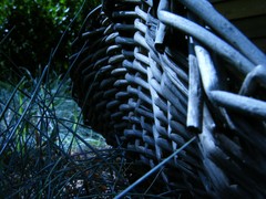 shadowy basket