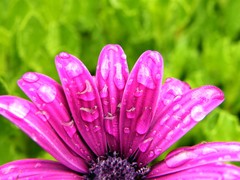 water droplets