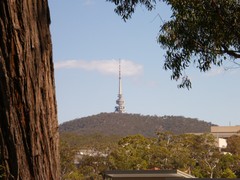 black mountain tower