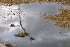 reflections in a puddle