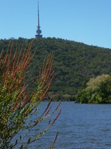 black mountain tower