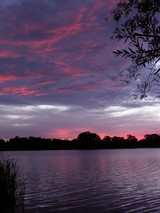 brilliant pink sunset