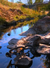 abandoned bike