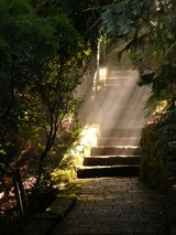 shafts of sunlight in the gloom