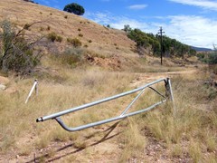 overgrown and deserted path