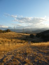 an afternoon walk