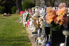 row of tributes