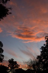 pretty sunset