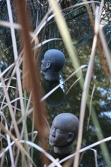 through the reeds