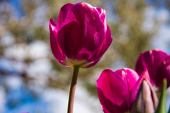underneath the glamour