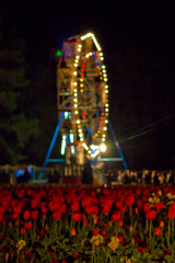 circular lighting