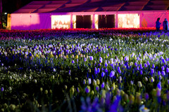 coloured lighting