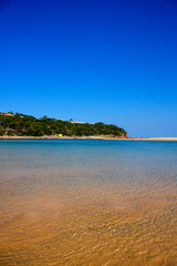 another paradise