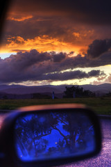 looking forward, looking back