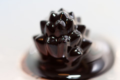 shapeshifting liquid